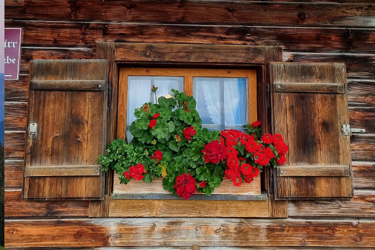 Aueralm Bad Wiessee 5_1