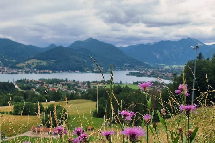 Aueralm Bad Wiessee 6