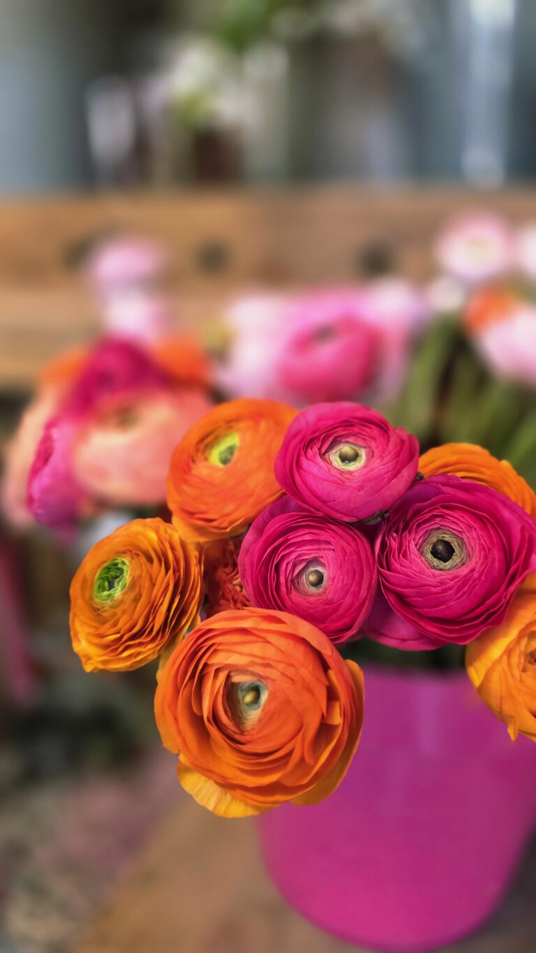 So& Blume 2026 (11)