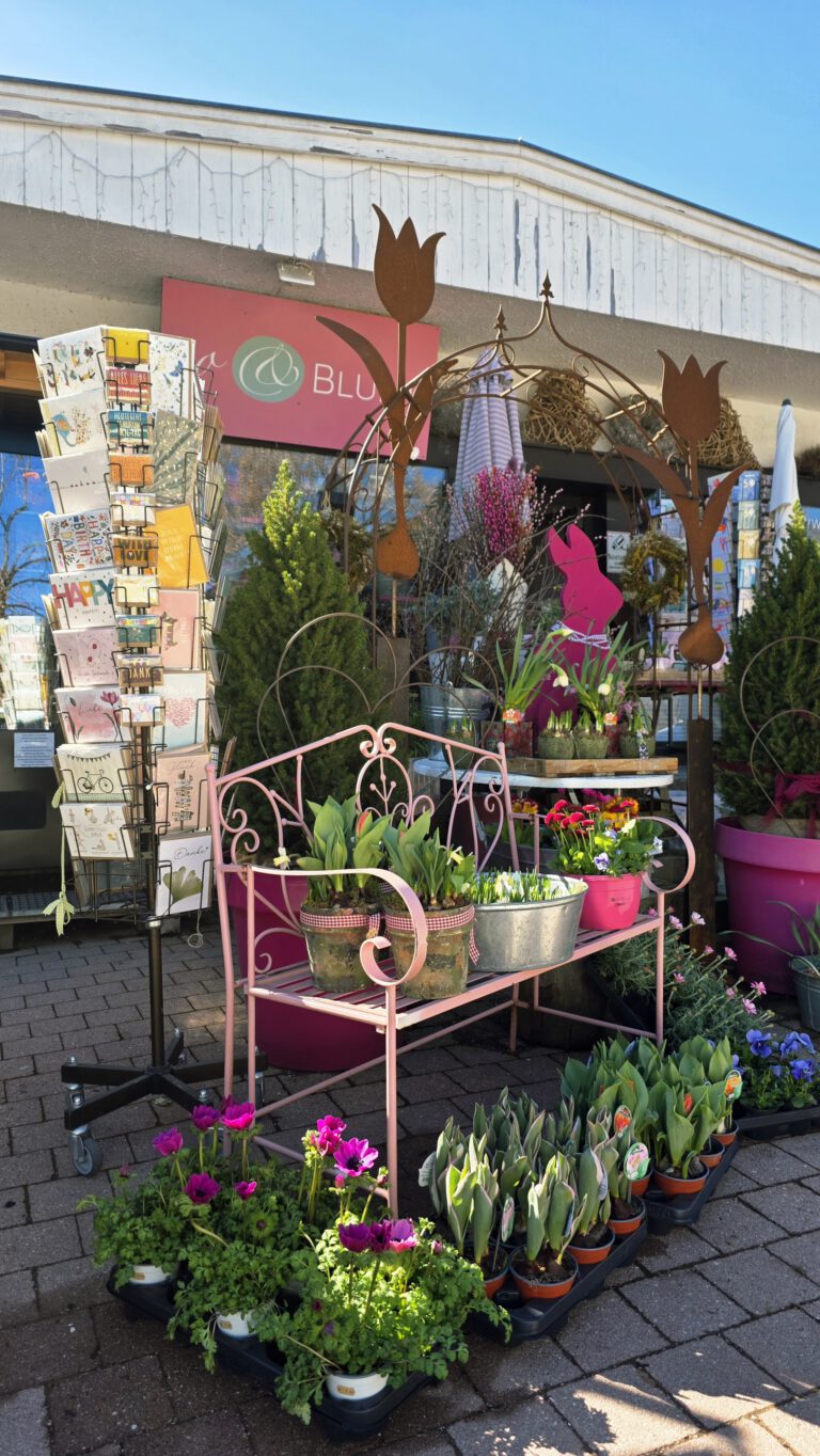 So& Blume 2026 (3)