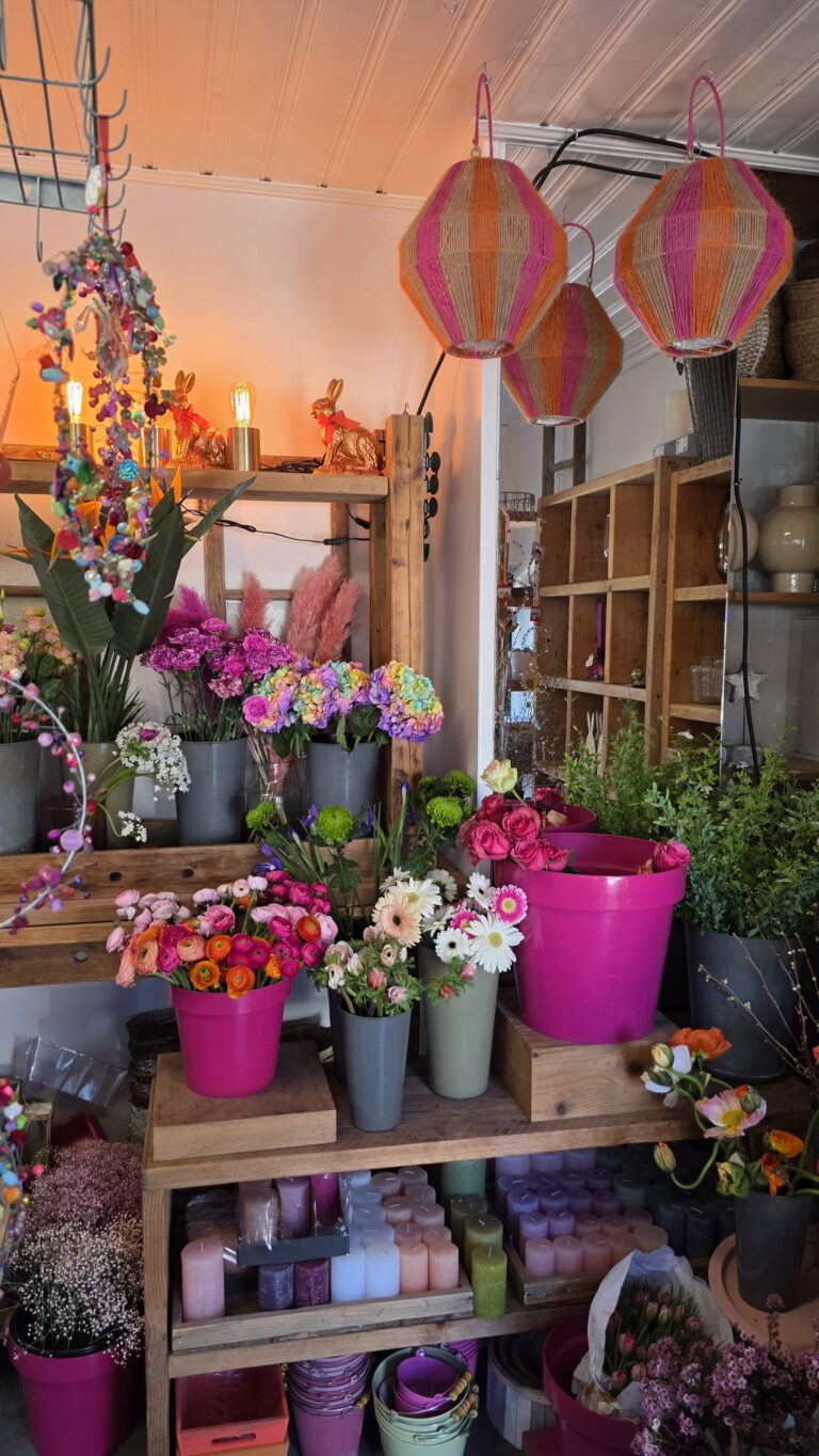 So& Blume 2026 (5)