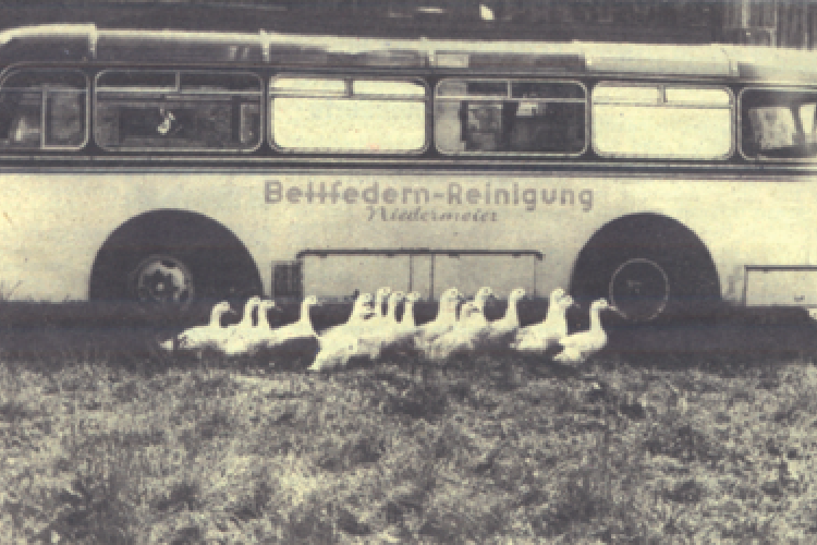 Betten Niedermaier 3